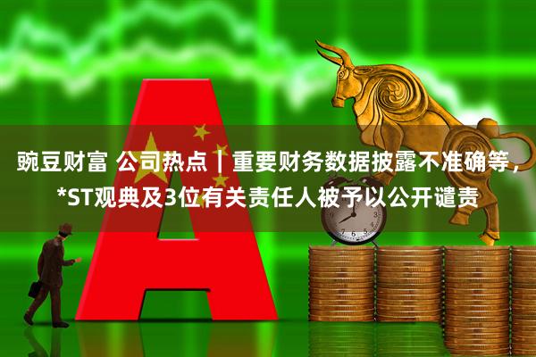 豌豆财富 公司热点｜重要财务数据披露不准确等，*ST观典及3位有关责任人被予以公开谴责