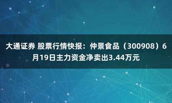 大通证券 股票行情快报:仲景食品(300908)6月19日主力资金净卖出3.44万元