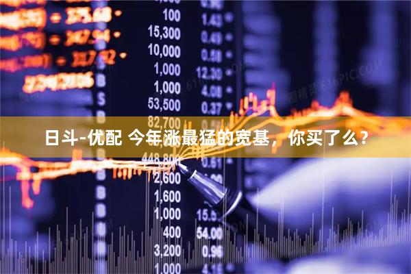 日斗-优配 今年涨最猛的宽基，你买了么？