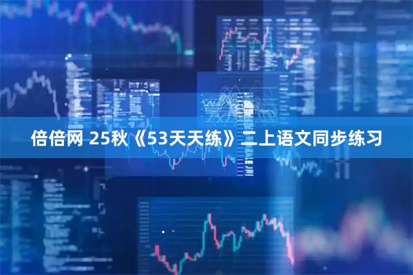 倍倍网 25秋《53天天练》二上语文同步练习